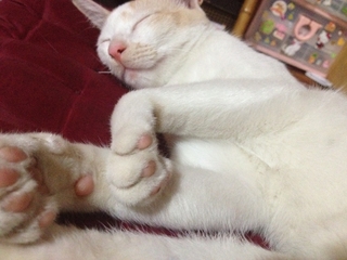 ミロ