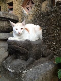 ミロ
