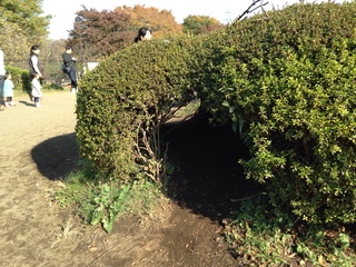 image-660b5.jpg