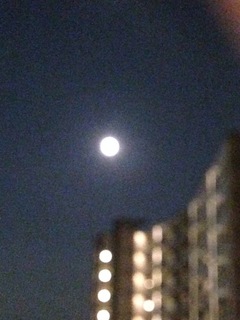 image-cc60d.jpg
