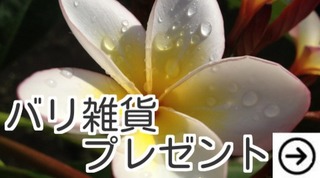 バリ雑貨プレゼント